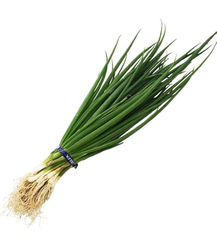 Amazon | ねぎ苗 石倉根深太 一本ネギ 50本 抜き苗 岡山県産 | 野菜